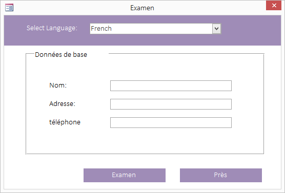 Microsoft Access Multi Language Code Database | Show Forms in Multiple Languages