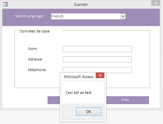 Microsoft Access Multi Language Code Database | Show Forms in Multiple Languages